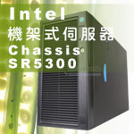 Intel_Chassis SR5300_ߦServer
